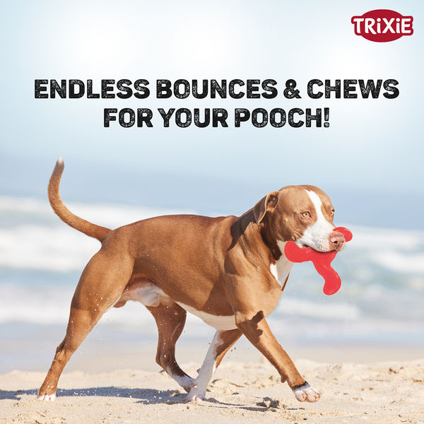 Trixie Triplex Bungee Boomerang Chew Toy for Dogs (Red)