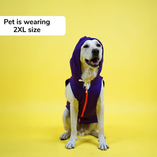 Skatrs Blaze Breezy Hoodies with Pockets for Dogs and Cats (Violet)