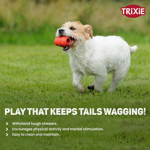 Trixie Jumper Chew Toy for Dogs (Yellow)