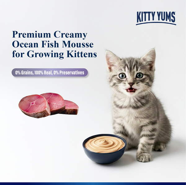Kitty Yum Ocean Fish Mousse Kitten Cat Wet Food