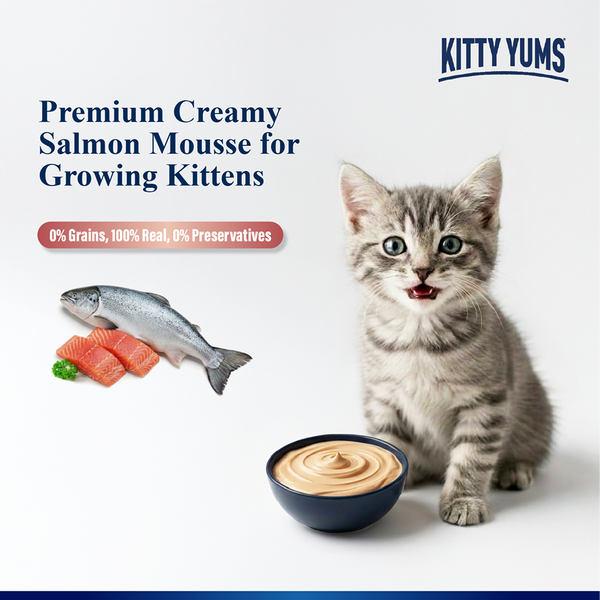 Kitty Yum Salmon Mousse Kitten Cat Wet Food