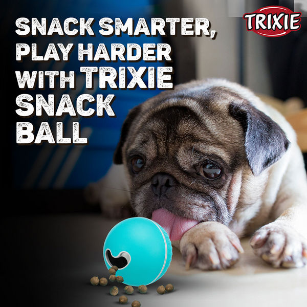 Trixie Plastic Snack Ball Treat Dispenser Toy for Dogs (Blue)