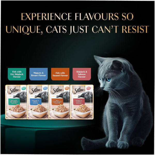 Sheba Fish with Sasami Premium Cat Wet Food