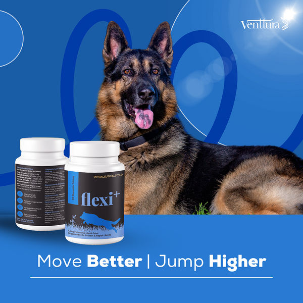 Venttura Flexi Plus Hip and Joint Chewable Tablets for Dogs