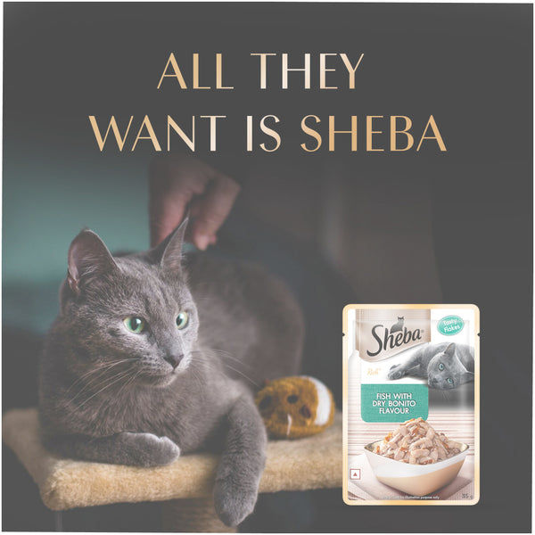 Sheba Fish with Sasami Premium Cat Wet Food