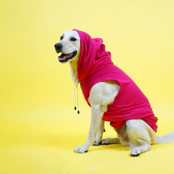Skatrs Pop Breezy Hoodies with Pockets for Dogs and Cats (Pink)
