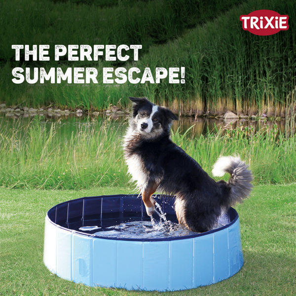 Trixie Light Swimming Pool for Dogs (Blue)