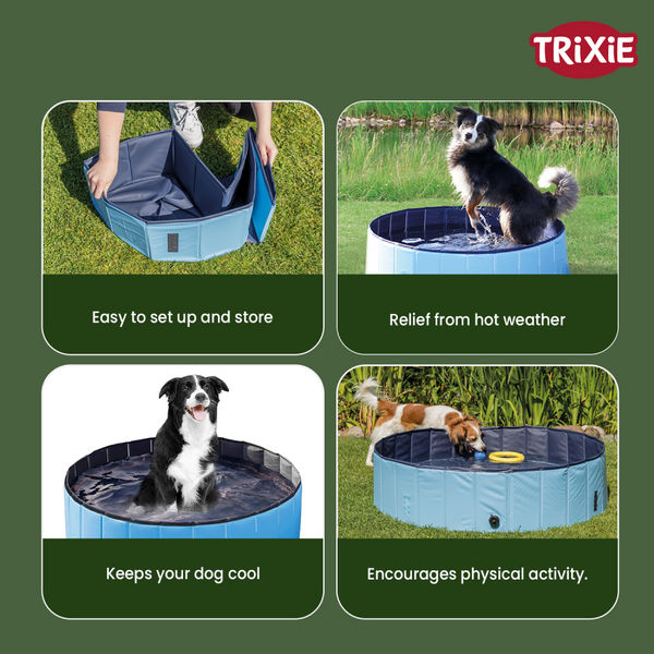 Trixie Light Swimming Pool for Dogs (Blue)