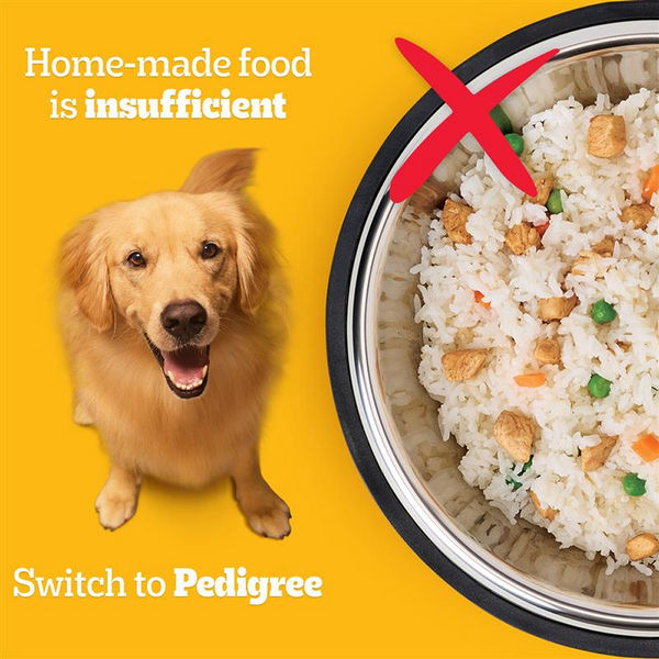 Pedigree Chicken and Vegetables Adult Dog Dry Food