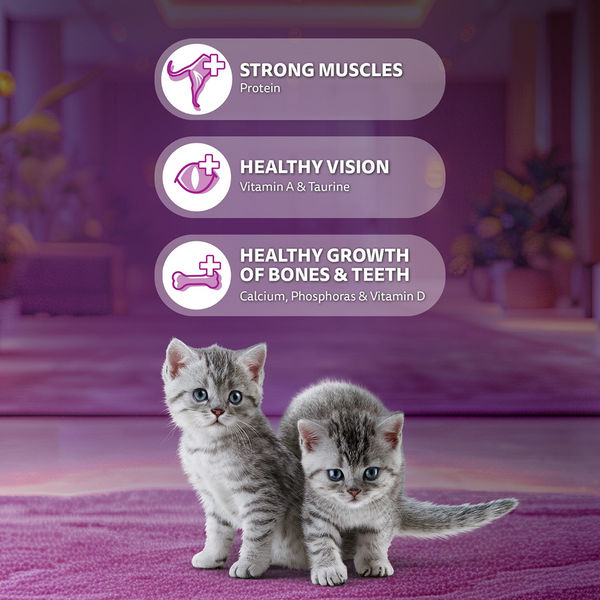 Whiskas Ocean Fish Kitten/Mother and Baby Cat Dry Food