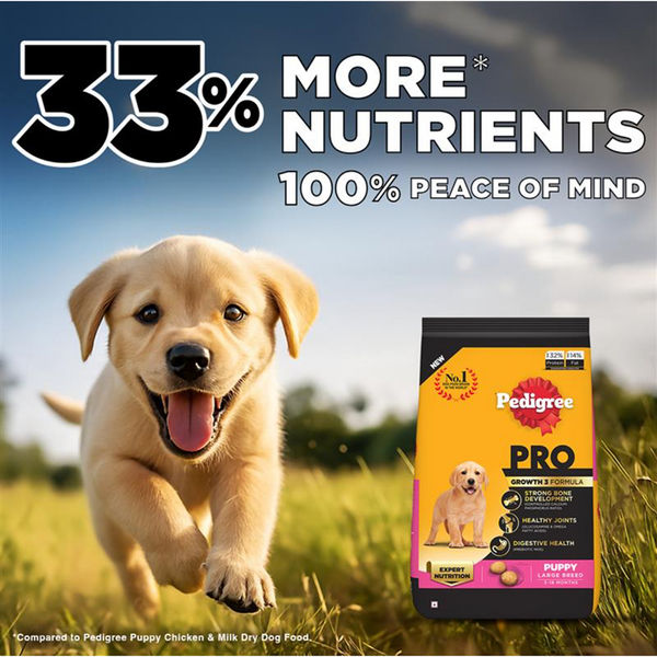 Pedigree PRO Expert Nutrition for Large Breed Puppy(3 to 18 Months) Dry Food