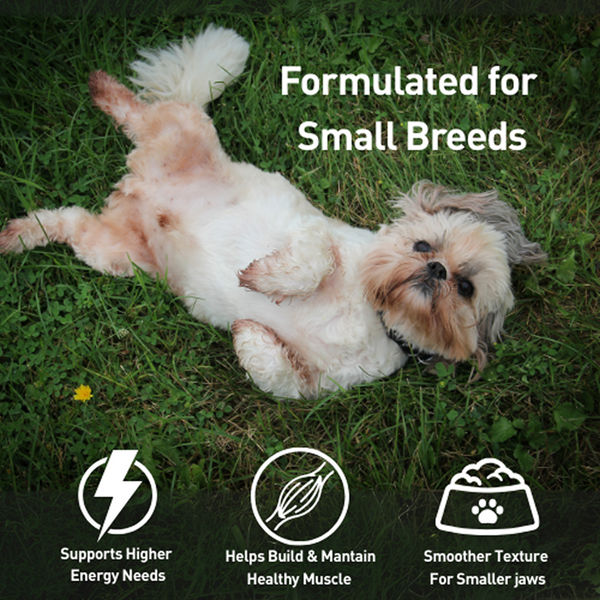 Homiee & Ginger Grain Free Mini Meals Surf & Turf, Fish Feista, Chicken & Barley Food for Dogs Combo