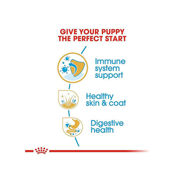 Royal Canin Golden Retriever Puppy Dog Dry Food