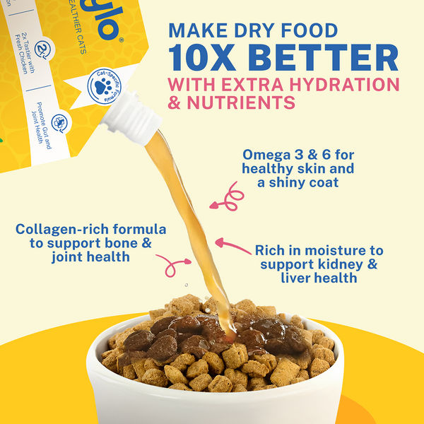 Smylo Hydration Rich Chicken with Carrot, Kale and Cranberry Bone Broth for Cats