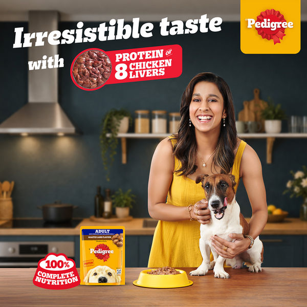 Pedigree Roasted Lamb Flavour Chunks in Gravy Adult Dog Wet Food