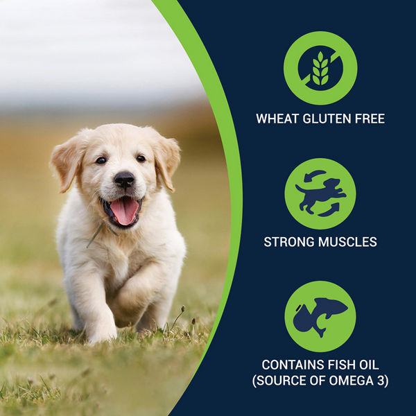 Bowlers Chicken & Milk Nutrimax Puppy Dog Dry and Chicken & Liver Recipe in Gravy Puppy Dog Wet Food Combo