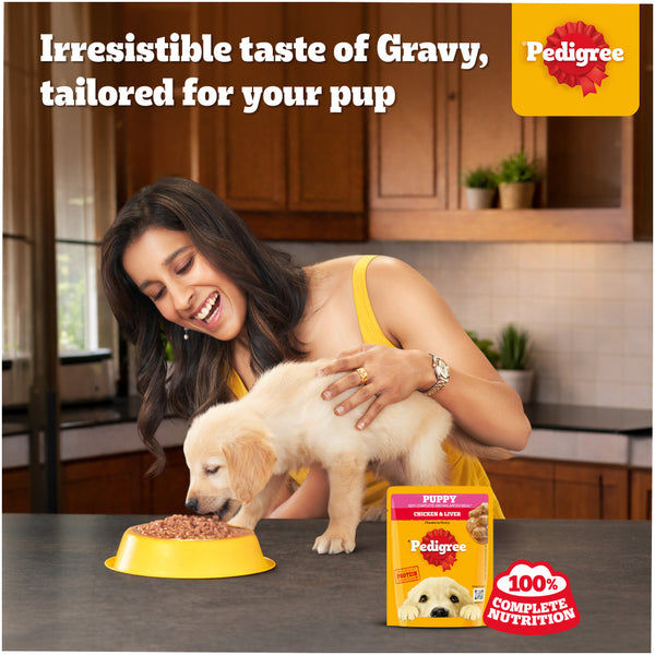 Pedigree Chicken & Liver Chunks in Gravy Puppy Wet Dog Food
