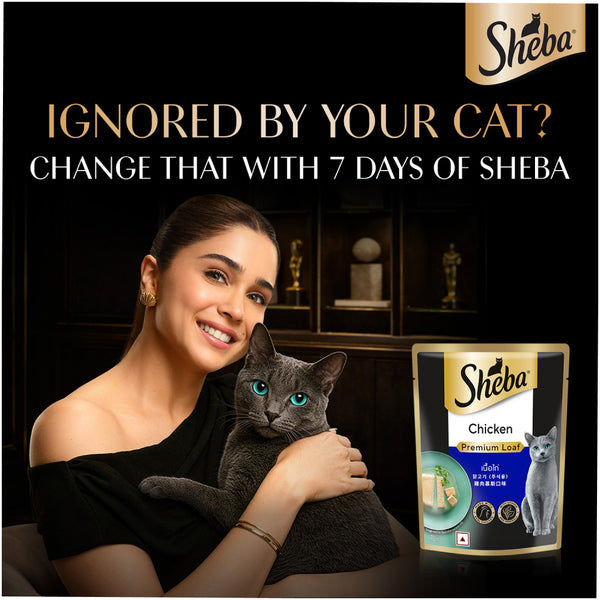Sheba Chicken Loaf Rich Premium Adult Fine Cat Wet Food