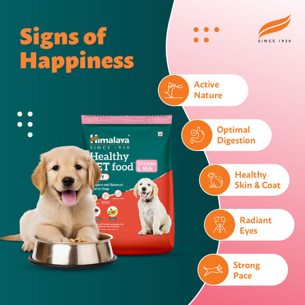 Himalaya Chicken & Milk Healthy Pet Puppy Dry Food