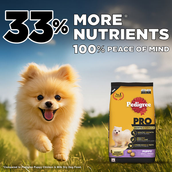 Pedigree PRO Expert Nutrition Small Breed Puppy (2 to 9 Months) Dry Food
