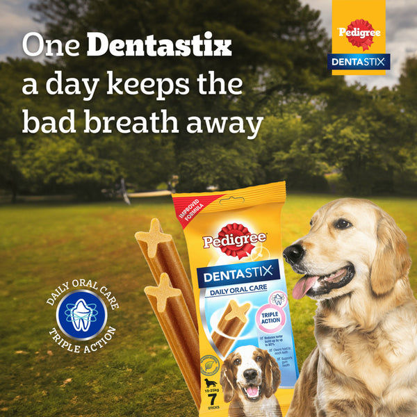 Pedigree Dentastix Oral Care for Adult (Large Breed of 25 kg+) and Grilled Liver Tasty Jerky Dog Treats Combo