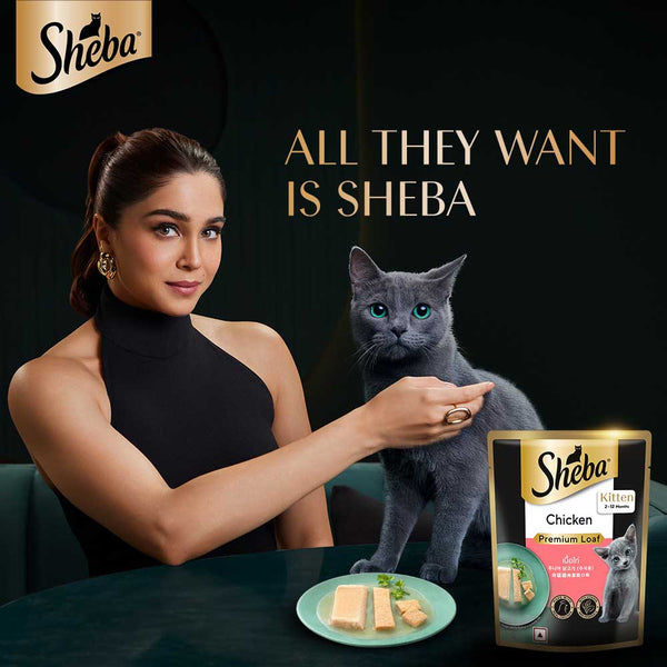 Sheba Chicken Loaf Rich Premium Kitten (2 to 12 Months) Fine Cat Wet Food