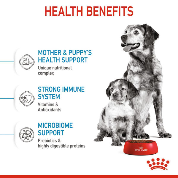 Royal Canin Medium Starter Dry Food for Medium Breed Dog and Puppies and Medium Puppy Dog Wet Food Combo