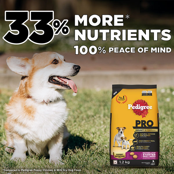 Pedigree PRO Expert Nutrition Lactating/Pregnant Mother & Puppy Starter (3 to 12 Weeks) Small Breed Dog Dry Food
