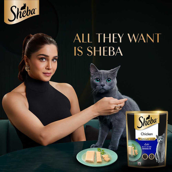Sheba Chicken Loaf Rich Premium Adult Fine Cat Wet Food
