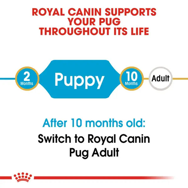 Royal Canin Pug Junior Dog Dry Food