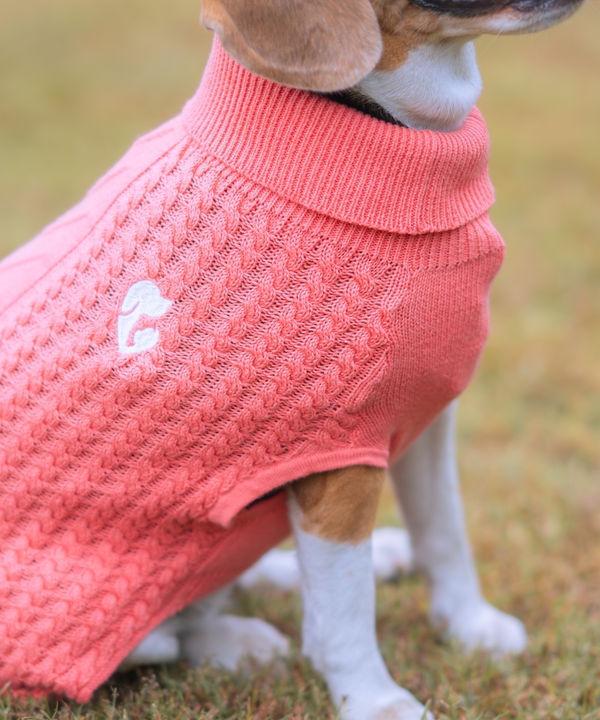 Pet Set Go Cable Knit Sweater for Dogs (Peach)