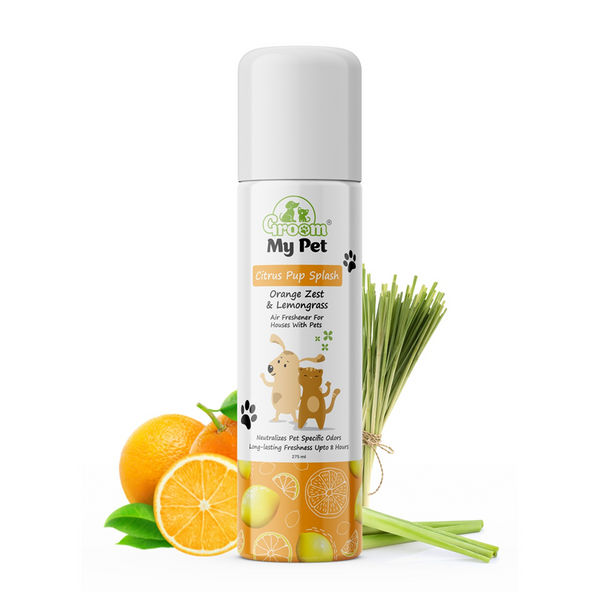 Groom My Pet Citrus Pup Splash Air Freshener for House with Dogs and Cats