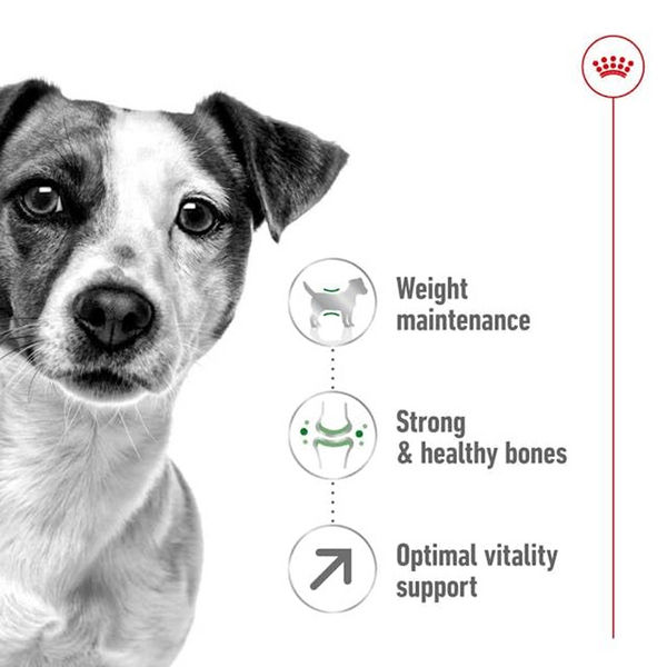Royal Canin Mini Adult Dog Dry Food with 8+ Years of age