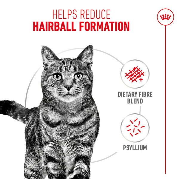 Royal Canin Hairball Care Food for Adult Cat Dry Food