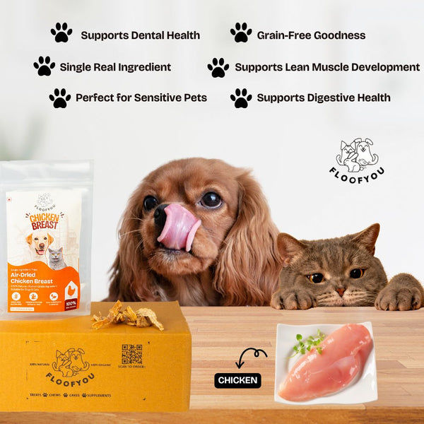 FloofYou Air Dried Chicken Breast Jerky Dogs and Cats Treat