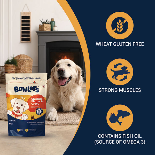 Bowlers Chicken Recipe in Gravy Dog Wet Food