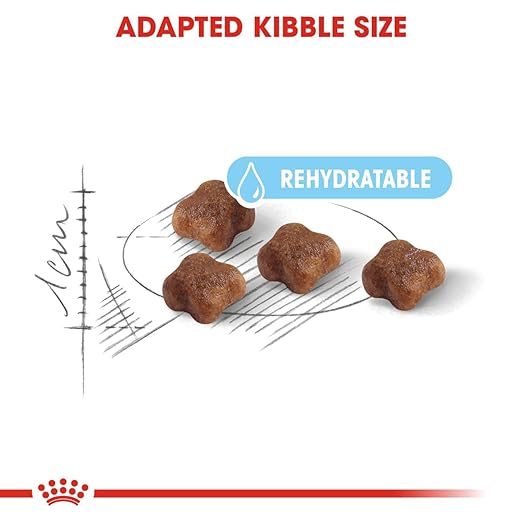 Royal Canin Mother & Babycat Cat Dry Food