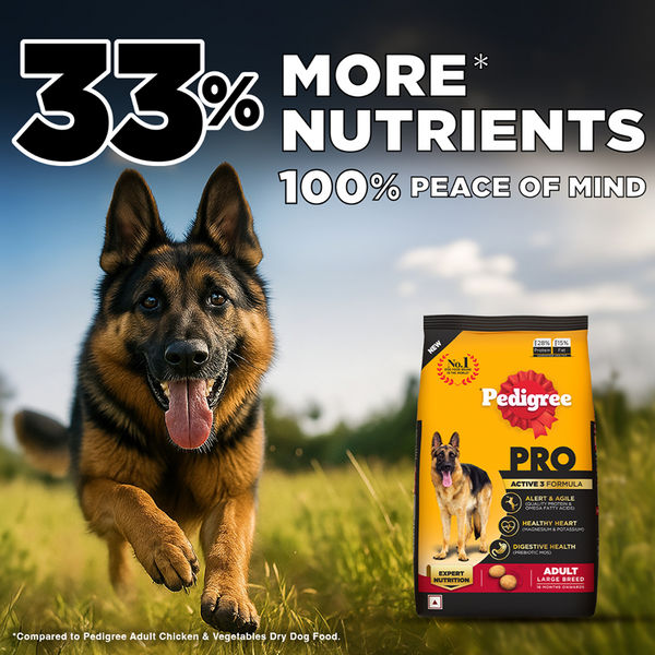 Pedigree PRO Expert Nutrition Active Adult (18 Months Onwards) Large Breed Dog Dry Food