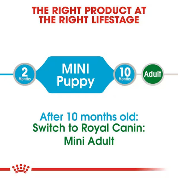 Royal Canin Mini Puppy Dog Wet Food