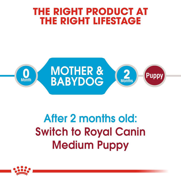 Royal Canin Medium Starter, Mother & Babydog Dry Food