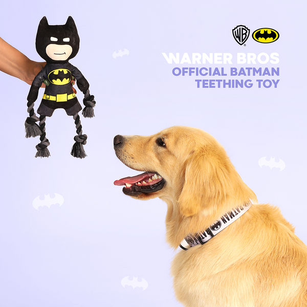 Warner Bros Batman Plush Toy for Dogs and Cats