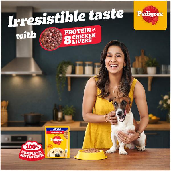Pedigree Chicken and Liver Chunks in Gravy Adult Dog Wet Food (70g)