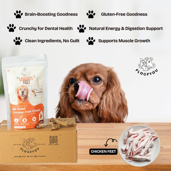 FloofYou Air Dried Chicken Feet Grain Free Chew Dog Treats