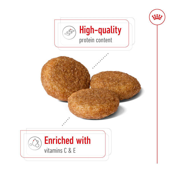 Royal Canin Medium Adult Dog Dry Food