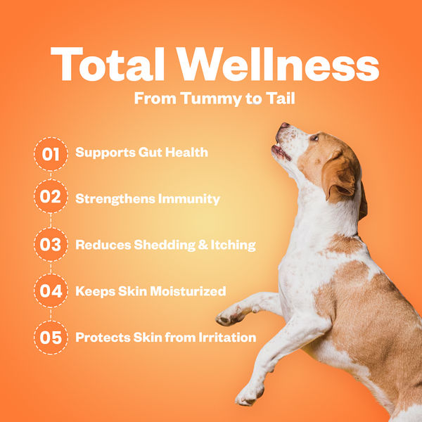 TailsAlive Probiotic Chicken Flavor and Skin & Coat Soft Chews Supplements for Dogs