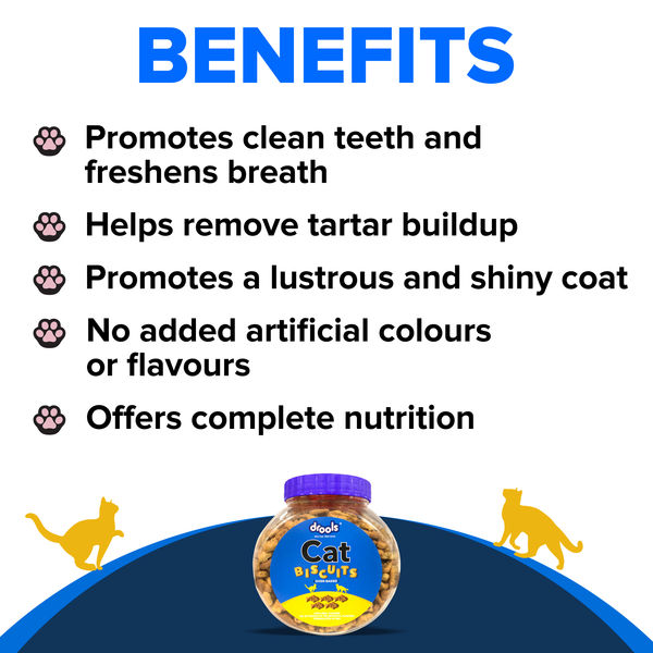 Drools Biscuit Cat Treat (110g)