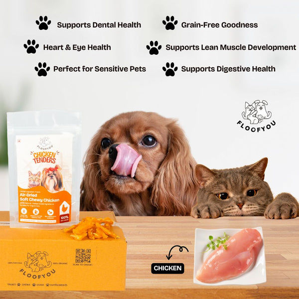 FloofYou Air Dried Chewy Chicken Tender Dogs & Cats Treat