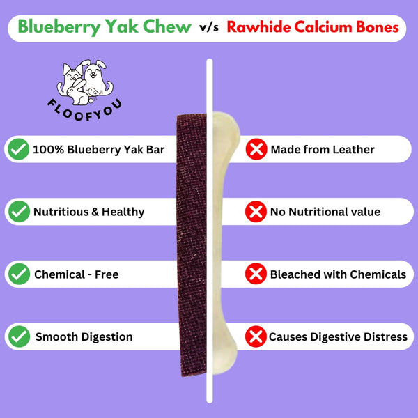 Floofyou Sun Dried Pure Veg Blueberry Yak Chew Bars Dental Dog Treats