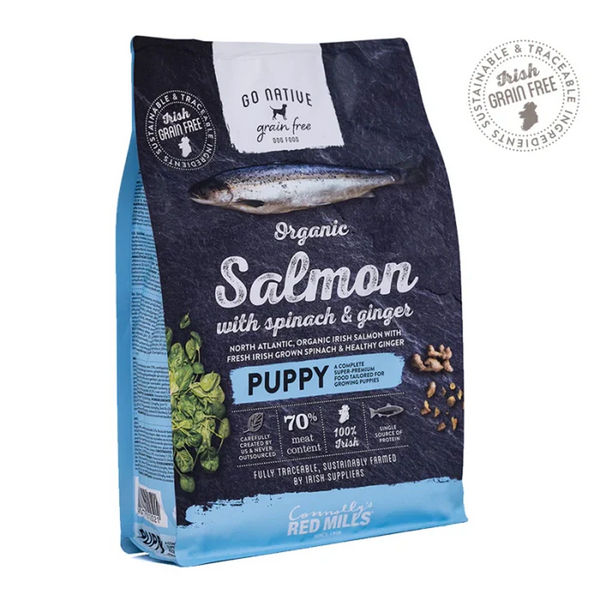 Pets Way Go Native Salmon with Spinach & Ginger Puppy Dog Dry Food