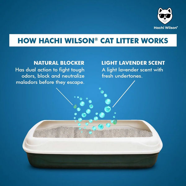 Hachi Wilson Scented Natural Bentonite White Sand Cat Litter